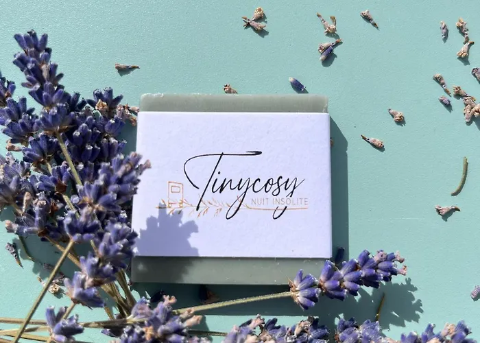 Tiny Cosy خيمة فخمة