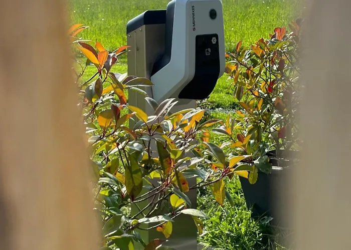 Tiny Cosy خيمة فخمة