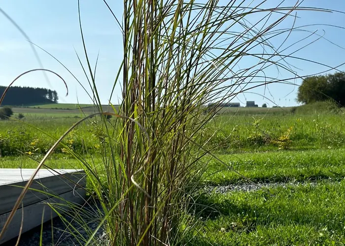 Tiny Cosy * باستونيا